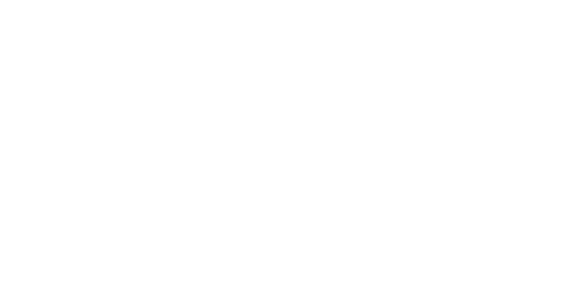 GVI Gomez Vazquez International